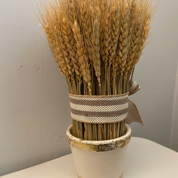 WHEAT PLANT DECOR 🍂 - Picture 2 of 3